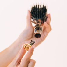 Load image into Gallery viewer, Mini Boar Brush | Tortoise