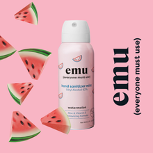Load image into Gallery viewer, Watermelon Moisturizing Sanitizer Mist 2.2oz