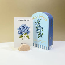 Load image into Gallery viewer, Faith Collection Guided Cards - Hope Renewed
