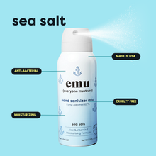 Load image into Gallery viewer, Sea Salt Moisturizing Sanitizer Mist 2.2oz