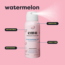 Load image into Gallery viewer, Watermelon Moisturizing Sanitizer Mist 2.2oz