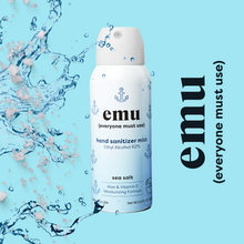 Load image into Gallery viewer, Sea Salt Moisturizing Sanitizer Mist 2.2oz