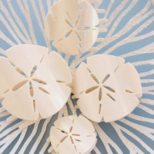 Load image into Gallery viewer, Sand Dollar | Medium | Flat Shape Hair Clip
