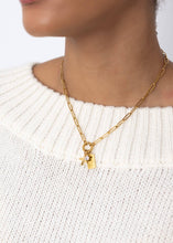 Load image into Gallery viewer, Gold Stainless Steel Travel Charm Holder Necklace Gift Set: Gold