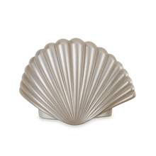 Load image into Gallery viewer, Shimmering Shell | Medium | Flat Hair Clip
