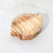 Load image into Gallery viewer, Shell Hair Claw Clip
